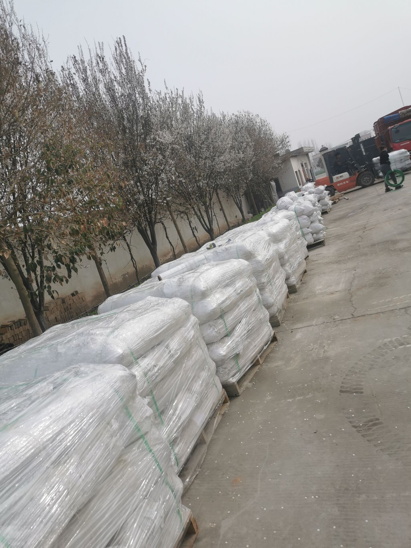 QQ圖片20210326094642